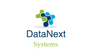 DataNext Systems Private Limited logo