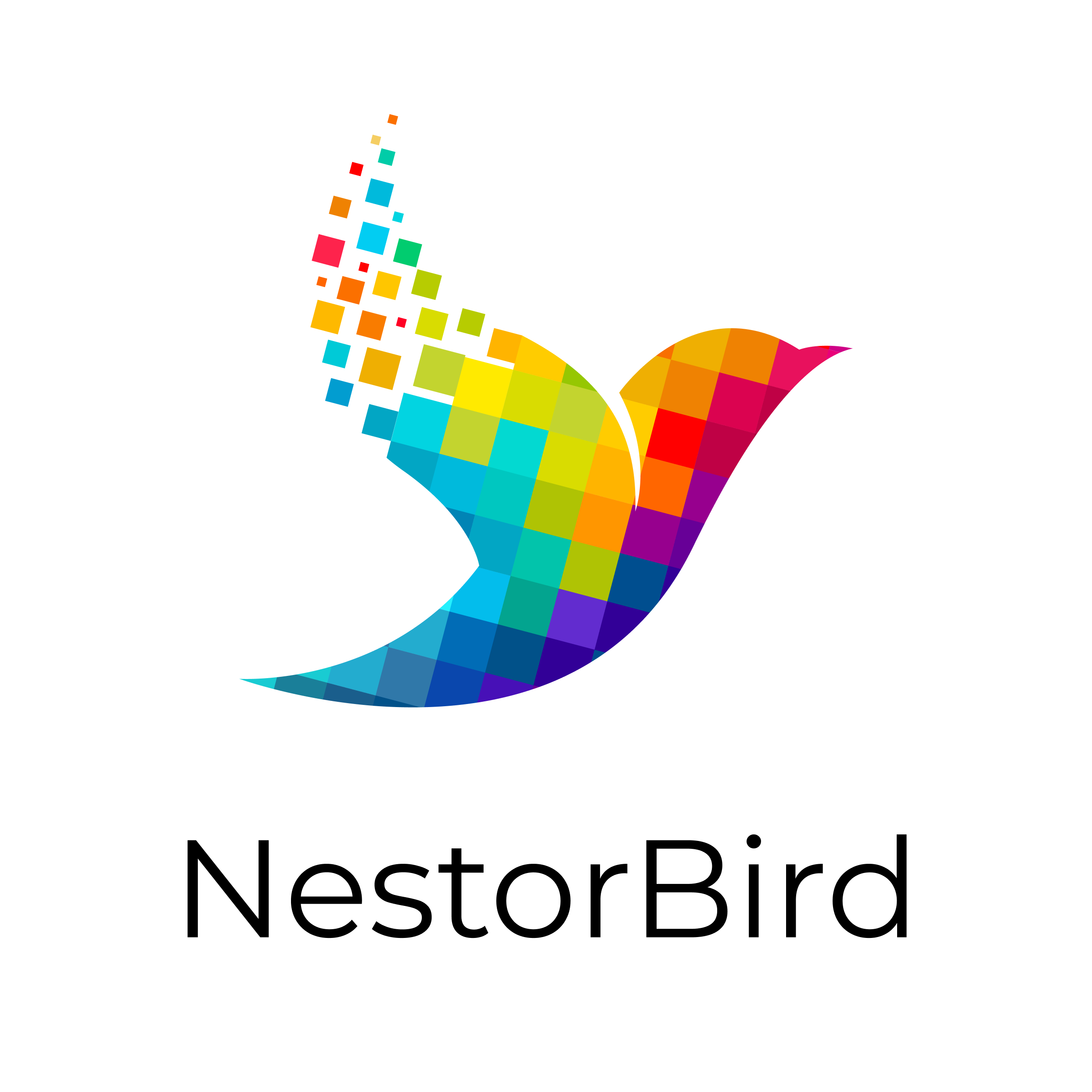 NestorBird Private Limited logo