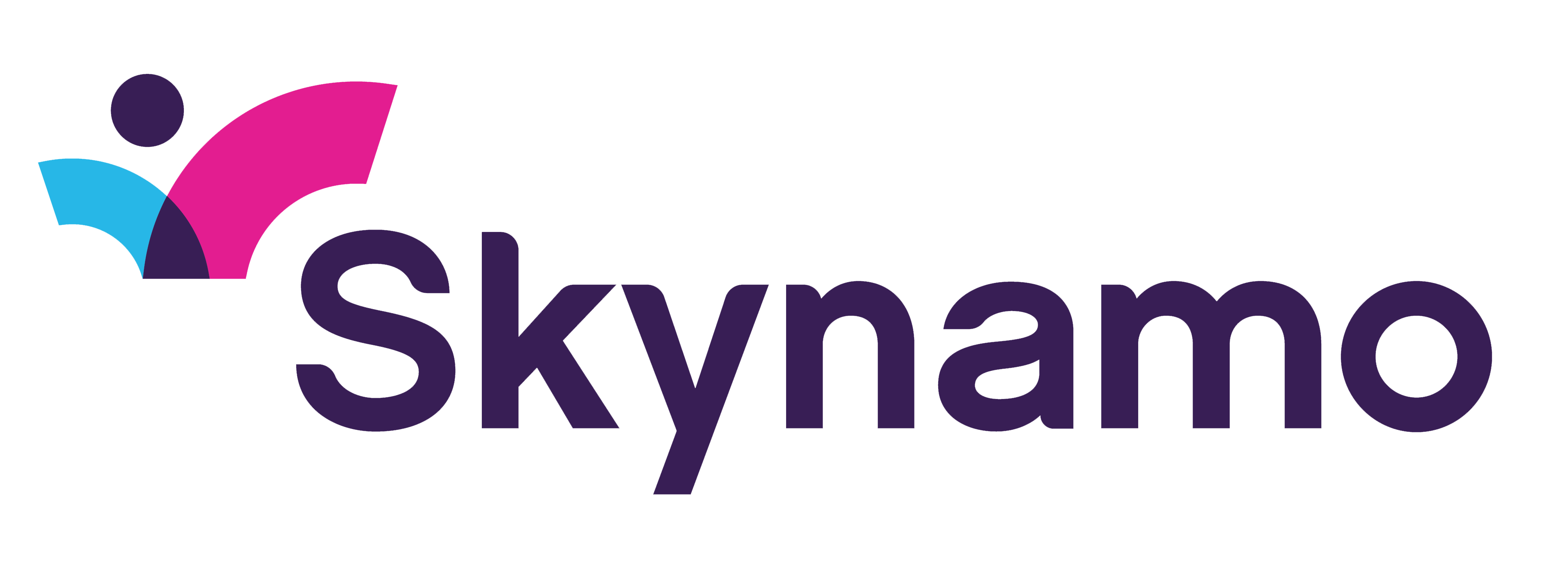 Skynamo logo