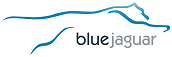 Blue Jaguar Consulting cc