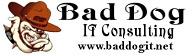 Bad Dog IT Consulting LLC