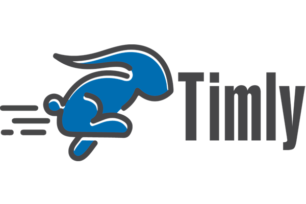 Timly Software AG logo