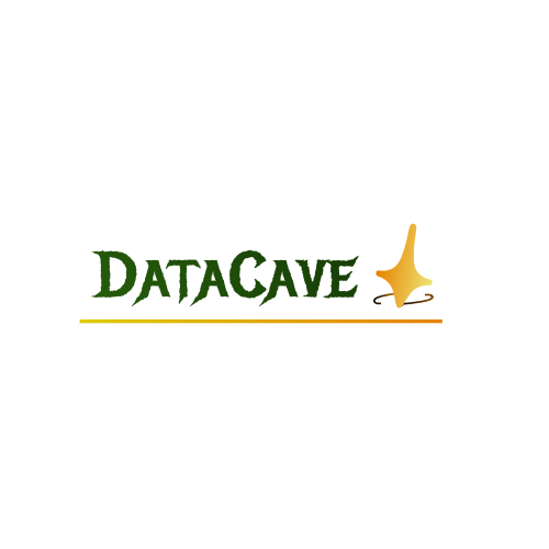 DataCave Software Solutions and Consultations