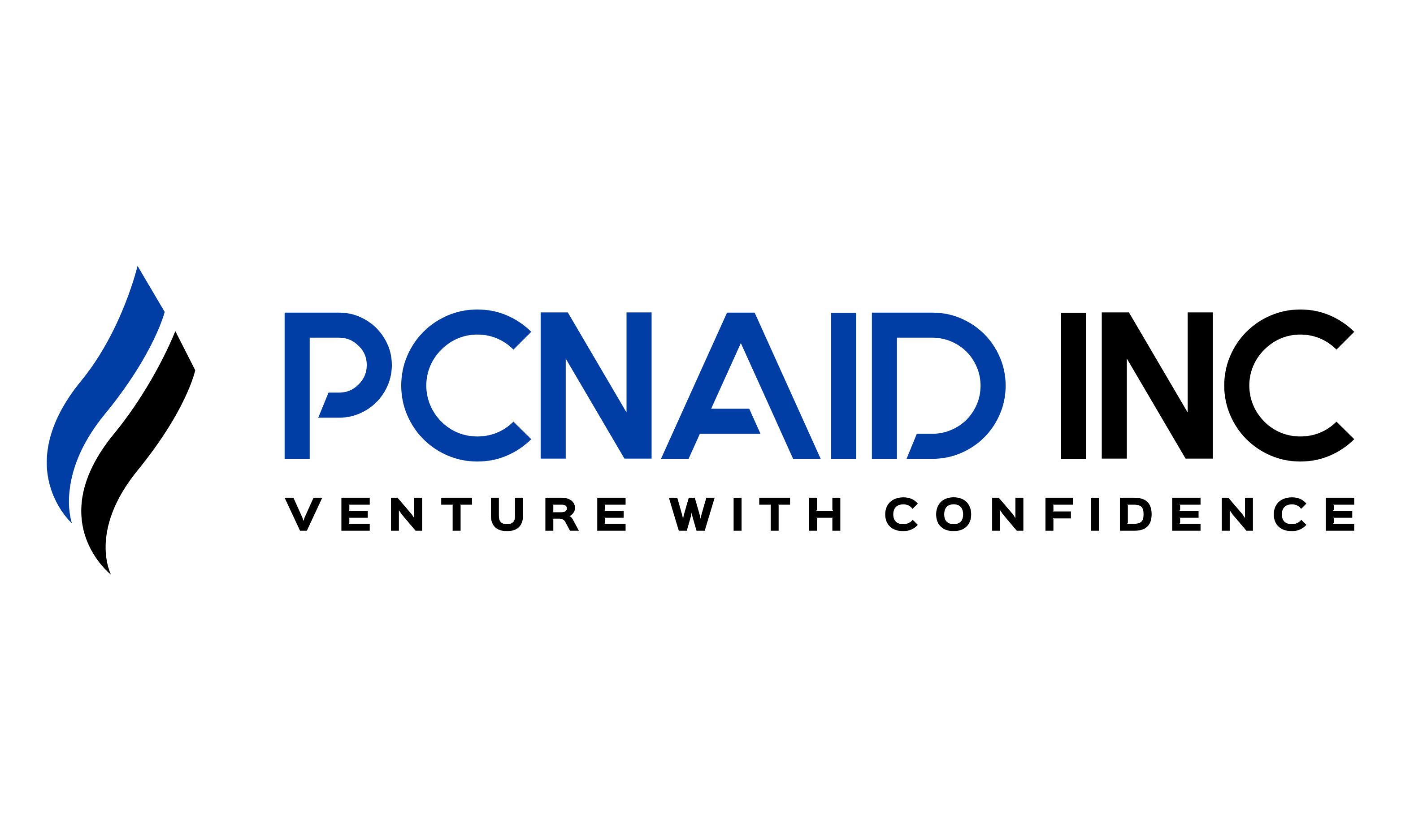 Pcnaid Inc