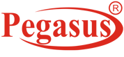 Pegasus International Computer Co 
