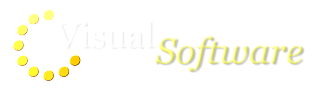 Visual Software Inc