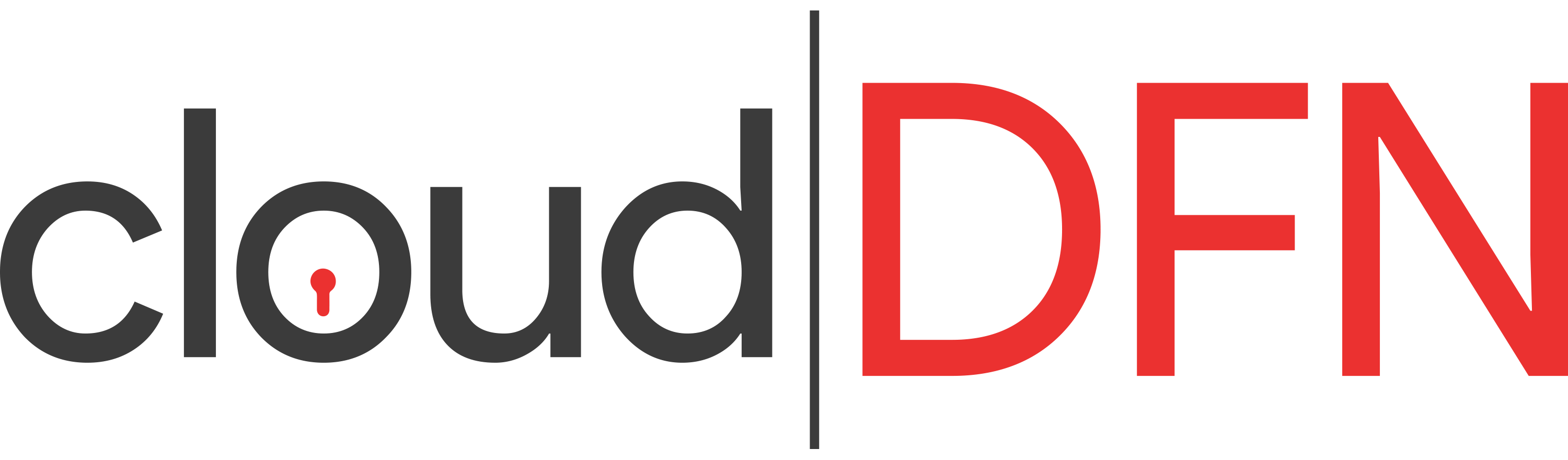 cloudDFN logo