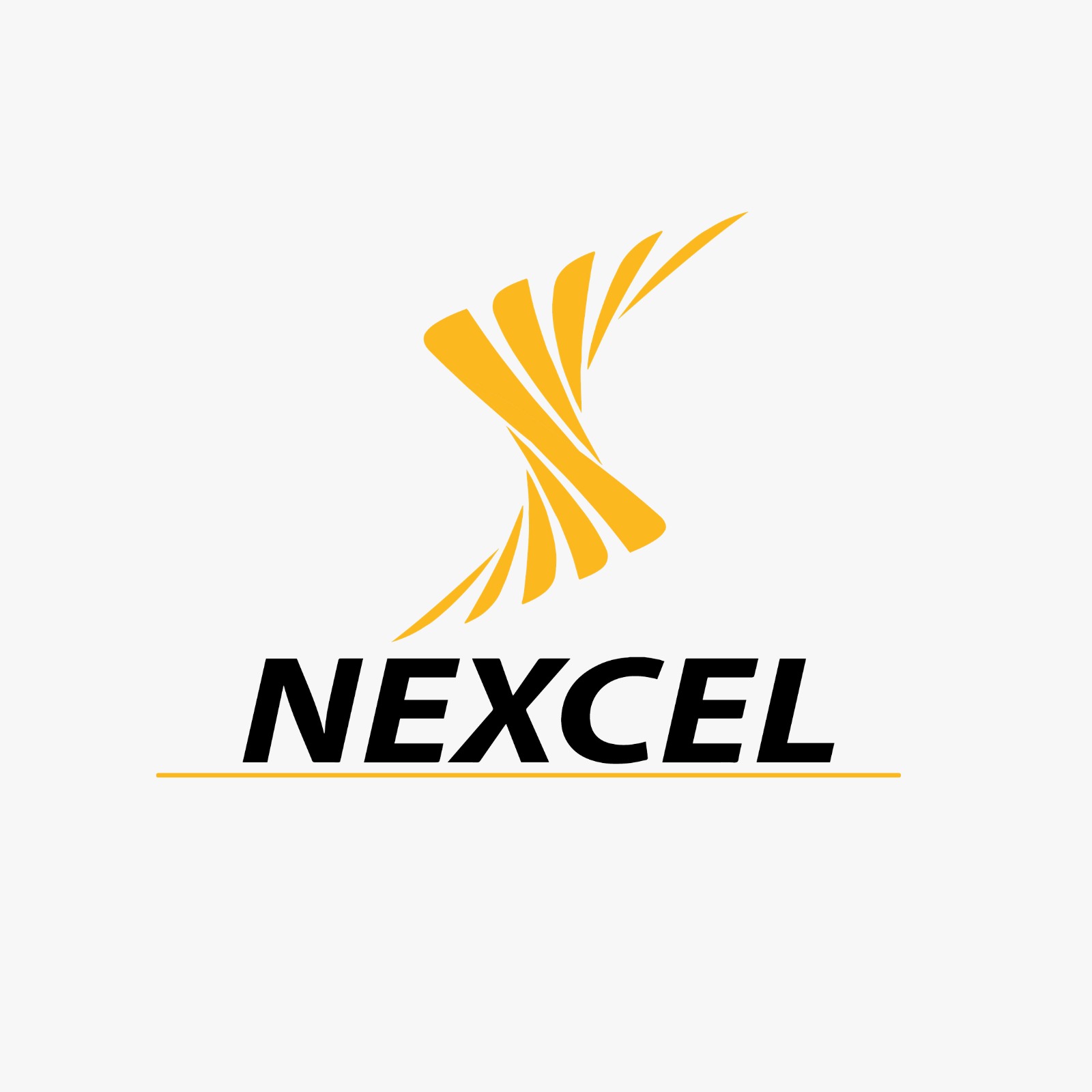 Nexcel Computer Solution in Elioplus