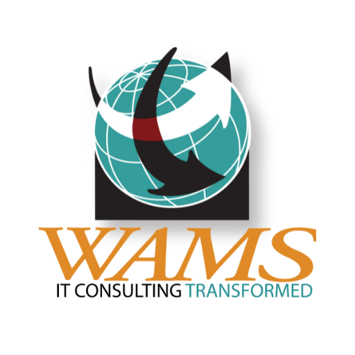 WAMS Inc