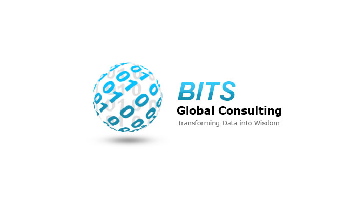 BITS Global Consulting Pvt Ltd in Elioplus