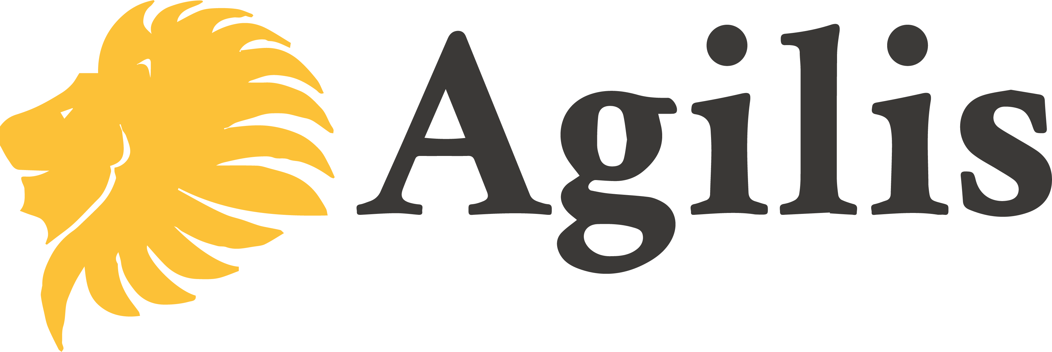 Agilis Ltd logo