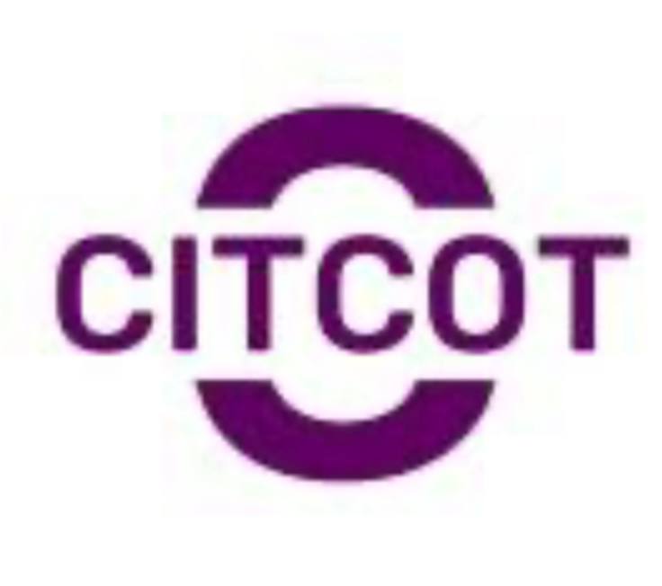 CITCOT ICT CONSULTING PLC