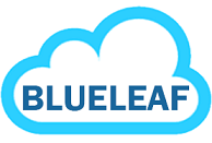 Blueleaf Cyberspace Systems Pvt Ltd