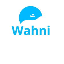 Wahni IT Solutions FZE