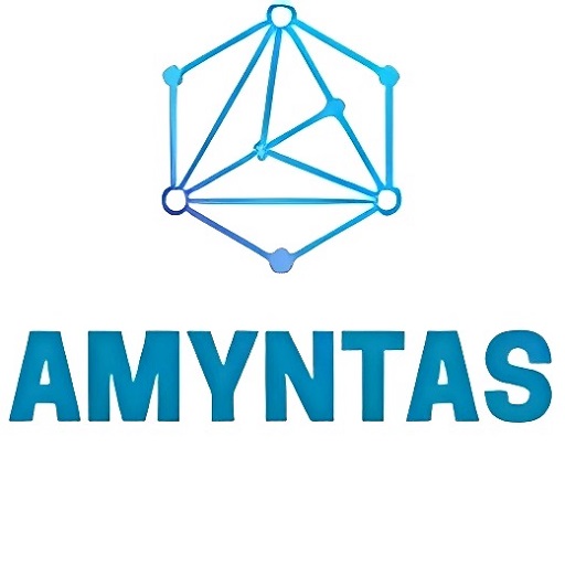 Amyntas Media Works LLP