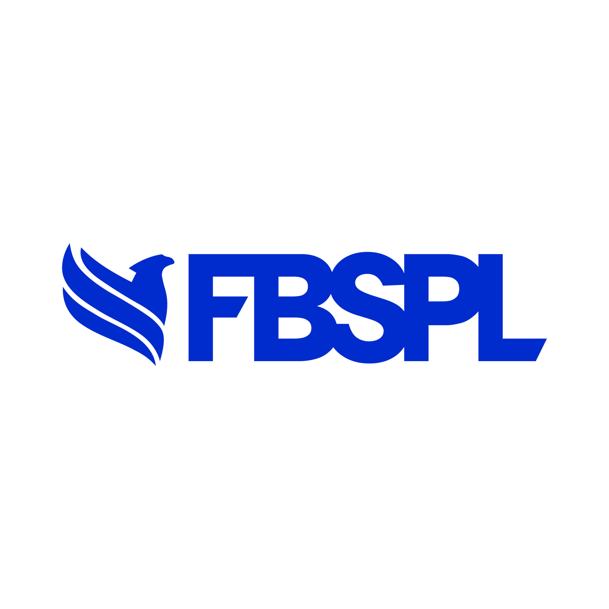 FBSPL- Fusion Business solution P Limited 