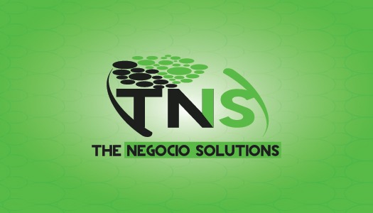 THE NEGOCIO SOLUTIONS  on Elioplus